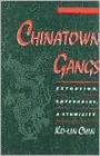 Chinatown Gangs: Extortion, Enterprise, and Ethnicity