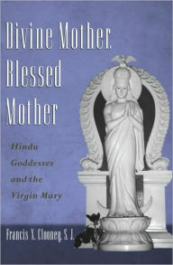 Title: Divine Mother, Blessed Mother: Hindu Goddesses and the Virgin Mary, Author: Francis Clooney