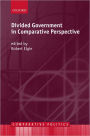 Divided Government in Comparative Perspective