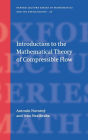 Introduction to the Mathematical Theory of Compressible Flow