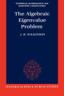 The Algebraic Eigenvalue Problem