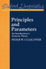 Principles and Parameters: An Introduction to Syntactic Theory / Edition 1