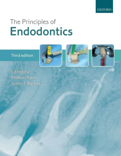 The Principles of Endodontics / Edition 3