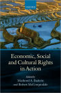 Economic, Social, and Cultural Rights in Action