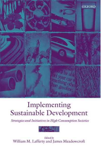 Implementing Sustainable Development: Strategies and Initiatives in High Consumption Societies / Edition 1