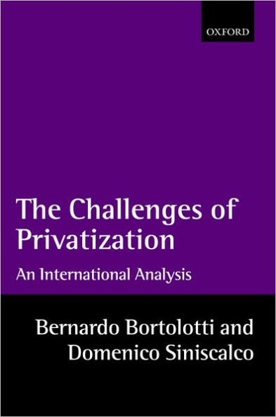 The Problems of Privatization: An International Analysis / Edition 1