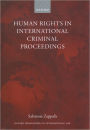 Human Rights in International Criminal Proceedings