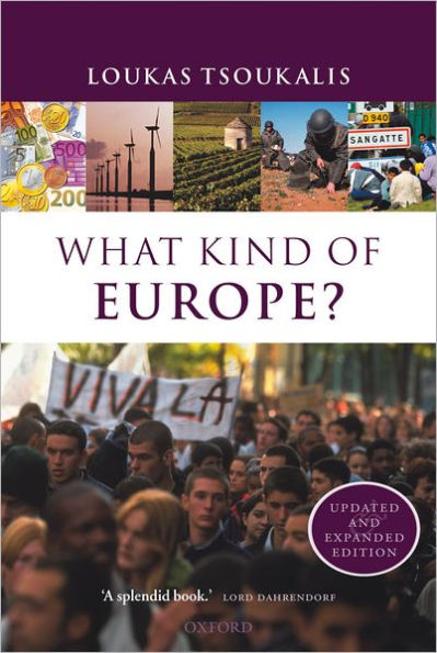 What Kind of Europe? / Edition 1
