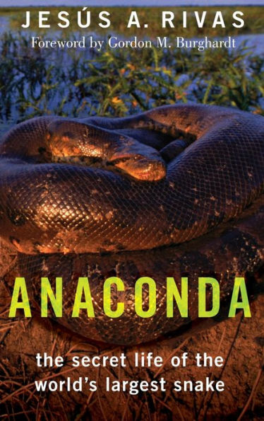 Anaconda: the Secret Life of World's Largest Snake