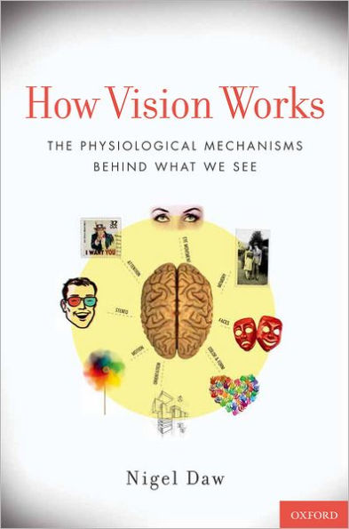 How Vision Works: The Physiological Mechanisms Behind What We See