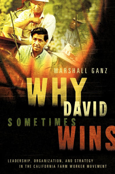 Why David Sometimes Wins: Leadership, Organization, and Strategy in the California Farm Worker Movement