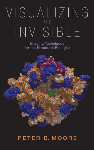 Visualizing the Invisible: Imaging Techniques for the Structural Biologist