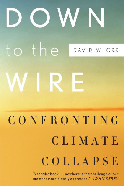 Down to the Wire: Confronting Climate Collapse