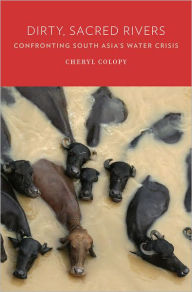 Title: Dirty, Sacred Rivers: Confronting South Asia's Water Crisis, Author: Cheryl Colopy