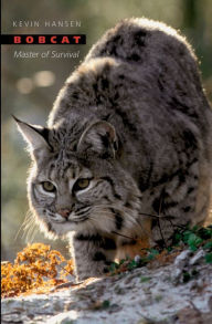 Title: Bobcat: Master of Survival, Author: Kevin Hansen