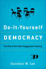 Do-It-Yourself Democracy: The Rise of the Public Engagement Industry