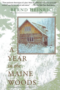 Title: A Year in the Maine Woods, Author: Bernd Heinrich PhD