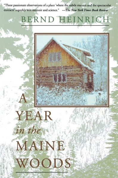 A Year in the Maine Woods