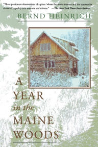 Title: A Year In The Maine Woods, Author: Bernd Heinrich