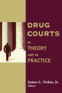 Drug Courts: In Theory and in Practice / Edition 1