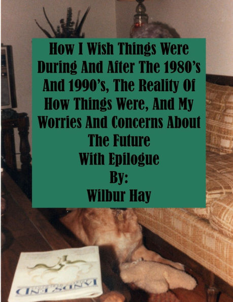 HOW I WISH THINGS HAD BEEN IN THE 1980S AND 1990S, AND THE REALITY OF HOW THINGS WERE IN THE LATE 1990S AND BEYOND: Paperback Version With Epilogue