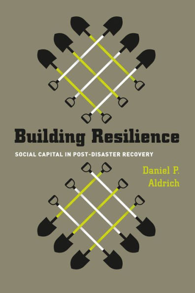 Building Resilience: Social Capital Post-Disaster Recovery
