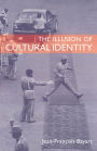 The Illusion of Cultural Identity
