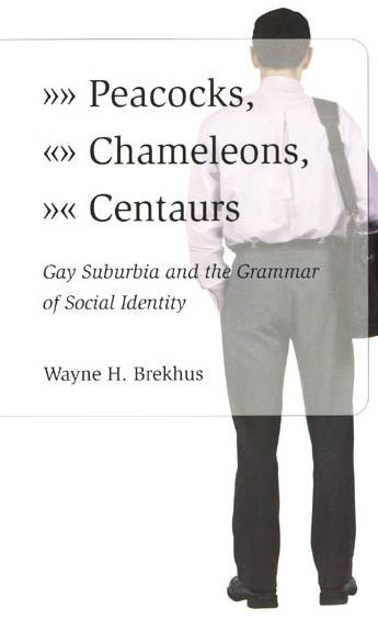 Peacocks, Chameleons, Centaurs: Gay Suburbia and the Grammar of Social Identity / Edition 1