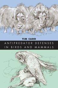 Title: Antipredator Defenses in Birds and Mammals, Author: Tim Caro