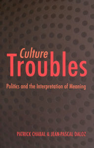 Title: Culture Troubles: Politics and the Interpretation of Meaning, Author: Patrick Chabal