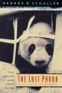 The Last Panda