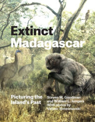 Title: Extinct Madagascar: Picturing the Island's Past, Author: Steven M. Goodman