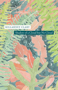 Title: Shadow of a Cloud but No Cloud, Author: Killarney Clary