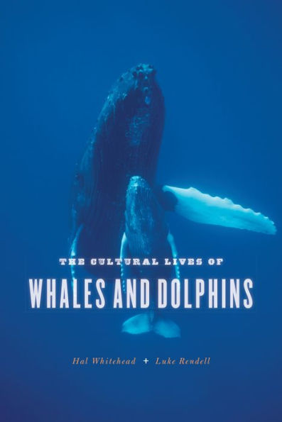 The Cultural Lives of Whales and Dolphins