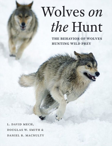 Wolves on The Hunt: Behavior of Hunting Wild Prey