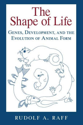 The Shape Of Life Genes Development And The Evolution Of Animal Formnook Book - 