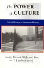 The Power of Culture: Critical Essays in American History / Edition 1
