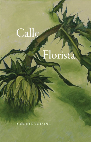 Calle Florista