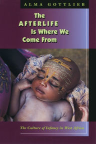 Title: The Afterlife Is Where We Come From, Author: Alma Gottlieb