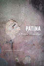 Patina: A Profane Archaeology