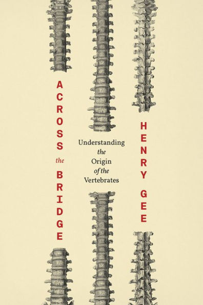 Across the Bridge: Understanding Origin of Vertebrates