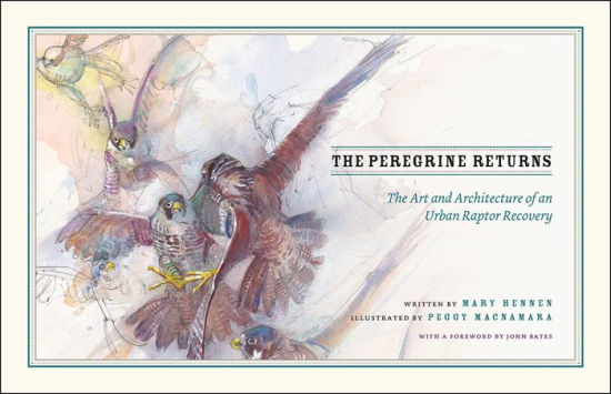 The Peregrine Returns The Art And Architecture Of An Urban Raptor