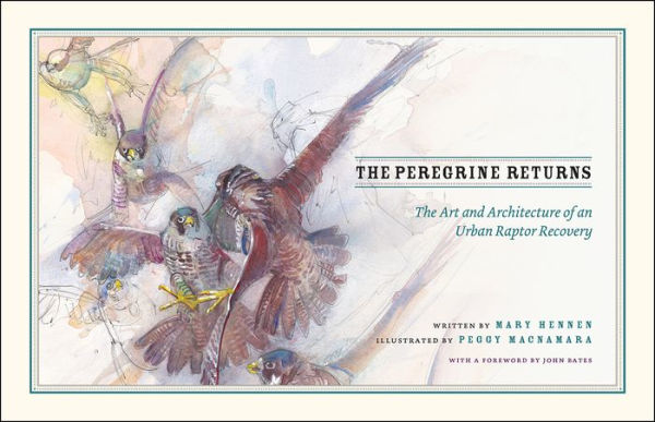 The Peregrine Returns: The Art and Architecture of an Urban Raptor Recovery