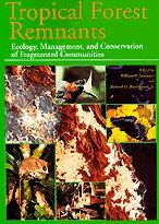 Tropical Forest Remnants: Ecology, Management, and Conservation of Fragmented Communities / Edition 2