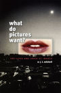 What Do Pictures Want?: The Lives and Loves of Images