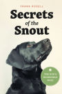 Secrets of the Snout: The Dog's Incredible Nose