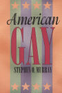 American Gay / Edition 2