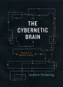 The Cybernetic Brain: Sketches of Another Future