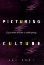 Picturing Culture: Explorations of Film and Anthropology / Edition 1