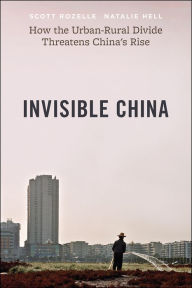 Free download of ebooks for ipad Invisible China: How the Urban-Rural Divide Threatens China's Rise by Scott Rozelle, Natalie Hell (English Edition) PDB MOBI